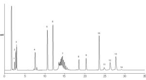 Xylene Sulfonate
